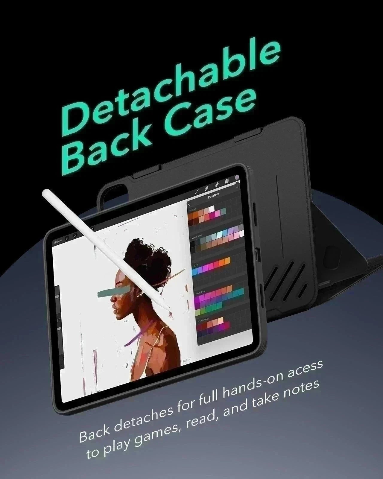 iPad Pro 11 inch case with detachable back case